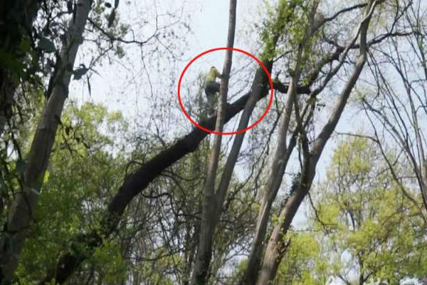 羅梅羅:艱苦的階段會有動搖，做為一個團隊我們短缺可靠性