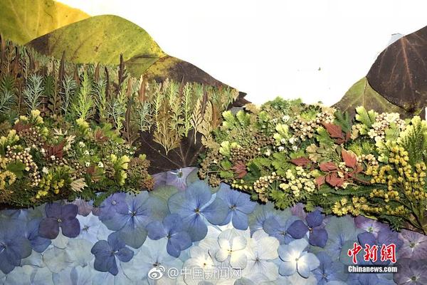 上線送十級(jí)月靈的傳奇手游引薦 最火的月靈傳奇