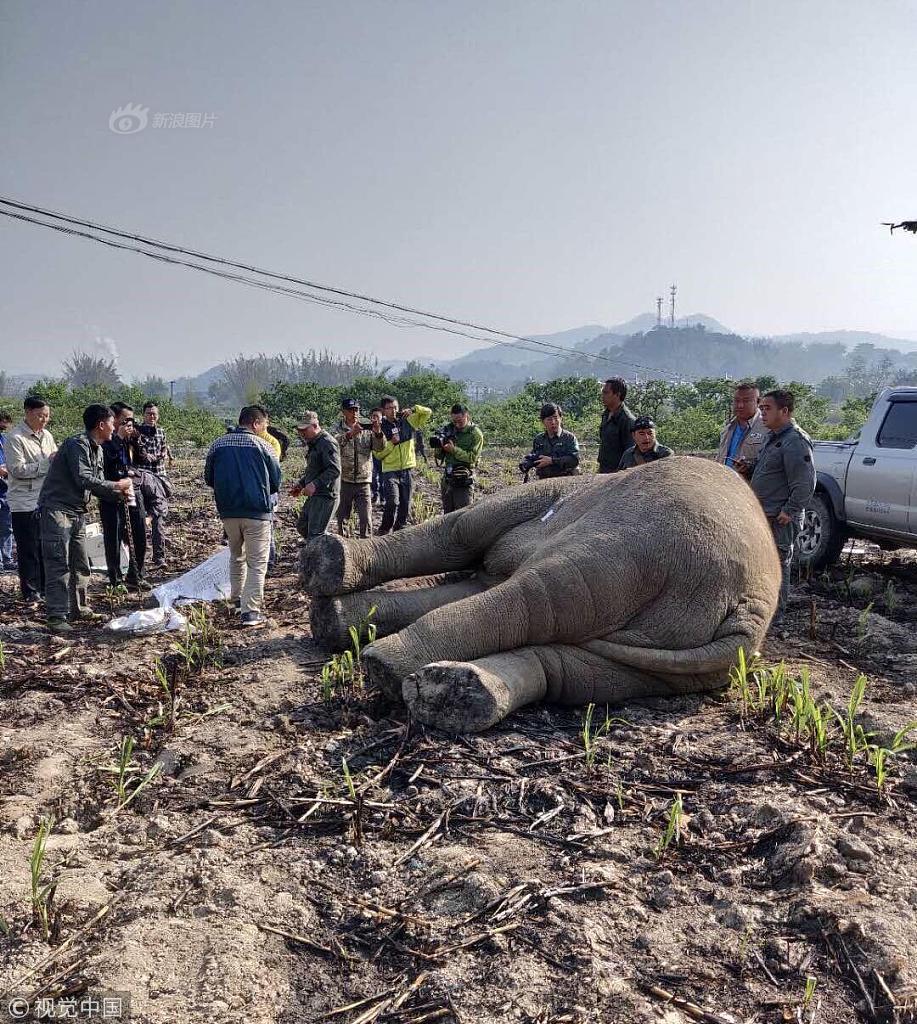 《天霸學(xué)院》安卓版上線15天下載破4500萬(wàn)