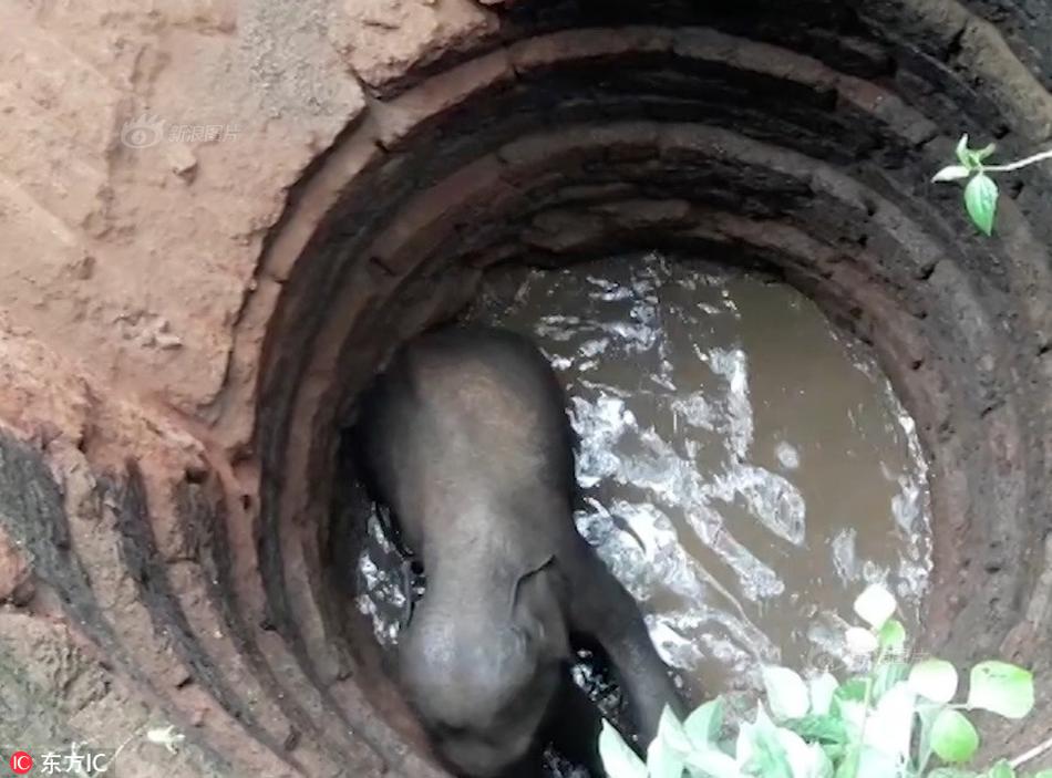 天智航入選“2022年專(zhuān)精特新上市企業(yè)TOP30榜單”