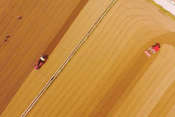 AI游戲應(yīng)用問(wèn)題不少，但開(kāi)發(fā)者認(rèn)為它極具潛力