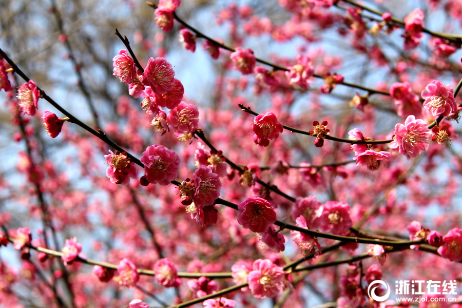 《天使之石》刪檔封測在即 3V3玩法揭秘