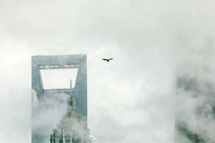 2021中超聯(lián)賽大結局：山東勇奪中超冠軍 廣州創(chuàng)近10年最差戰(zhàn)績