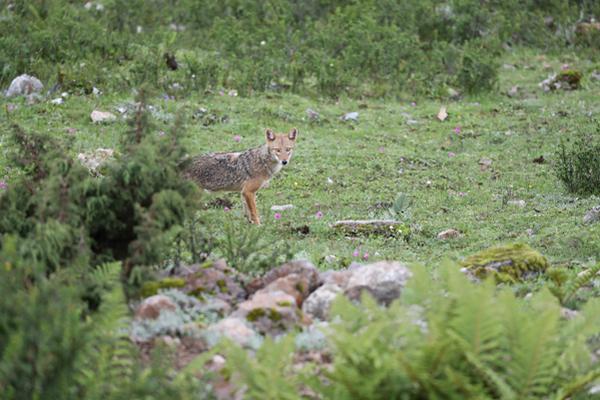 詹姆斯ins祝賀前隊友庫克簽約國王：拿下它 我的兄弟！