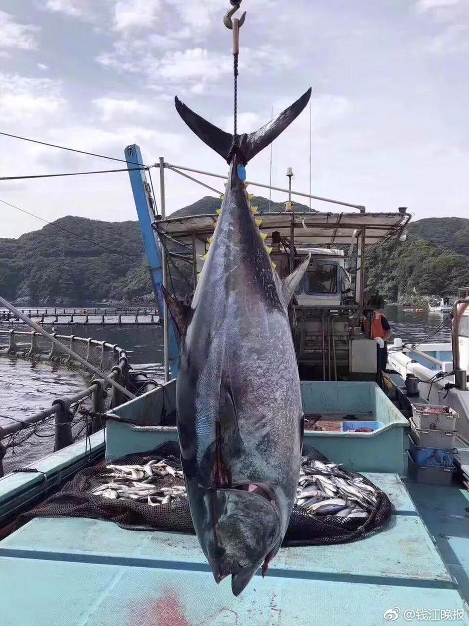 火狐閱讀器怎樣鏟除緩存  火狐閱讀鏟除緩存辦法