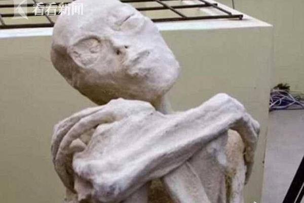 Cocos 布局鴻蒙游戲生態(tài) 全面支撐 Harmony OS“分布式技能”