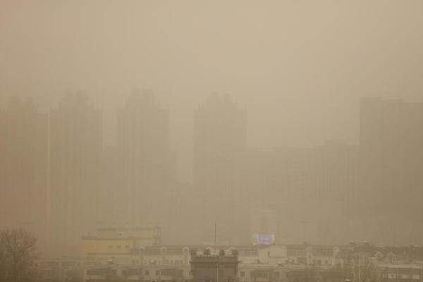 波士頓記者：凱爾特人已有意灰熊前鋒凱爾