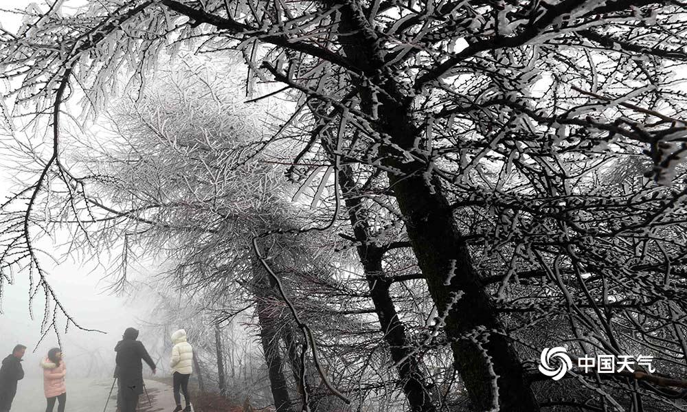 口袋妖怪復(fù)刻全新版本來襲：新增精靈第二套技能玩法