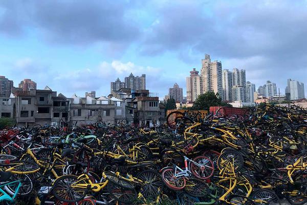 《新石器時代》敞開安卓終極測驗，海量福利助你重回史前樂土!