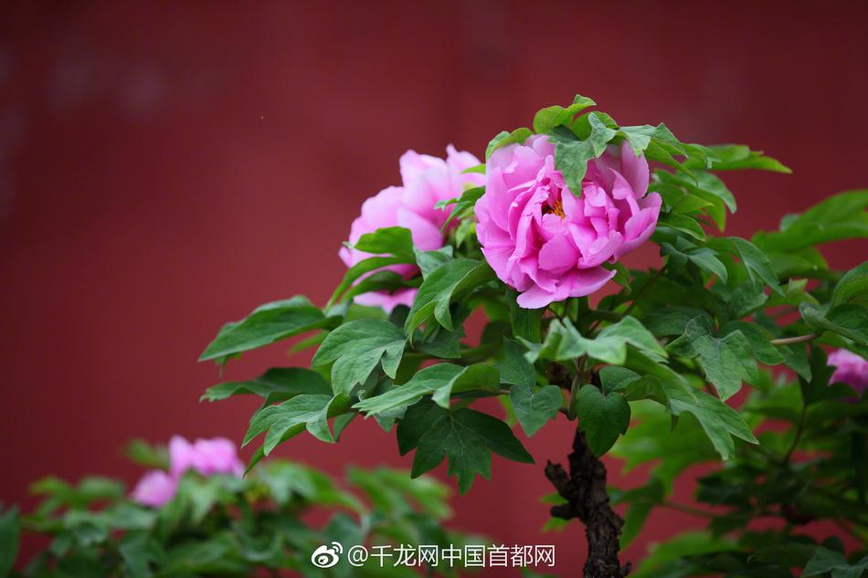 《夢(mèng)幻誅仙手游》春季主題曲明日上線