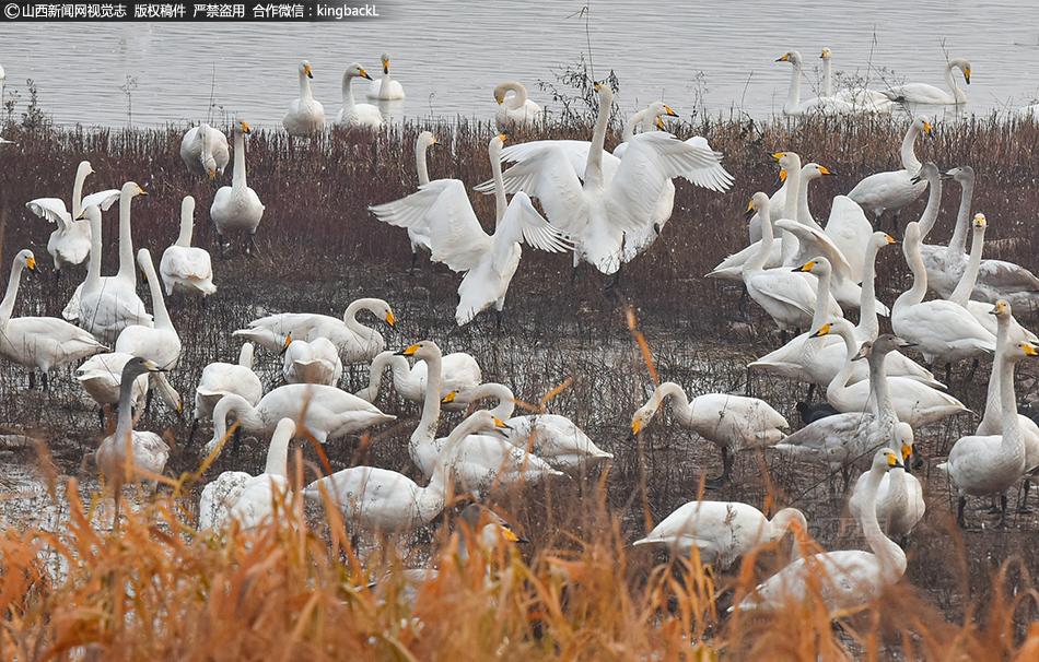 手機(jī)怎么裝置電腦軟件 手機(jī)變電腦辦法介紹