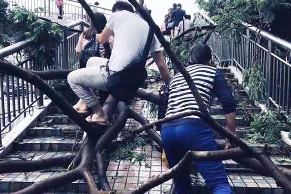 愛德華茲：咱們感到疲倦，庫里打滿了末節(jié)而且一直在跑動