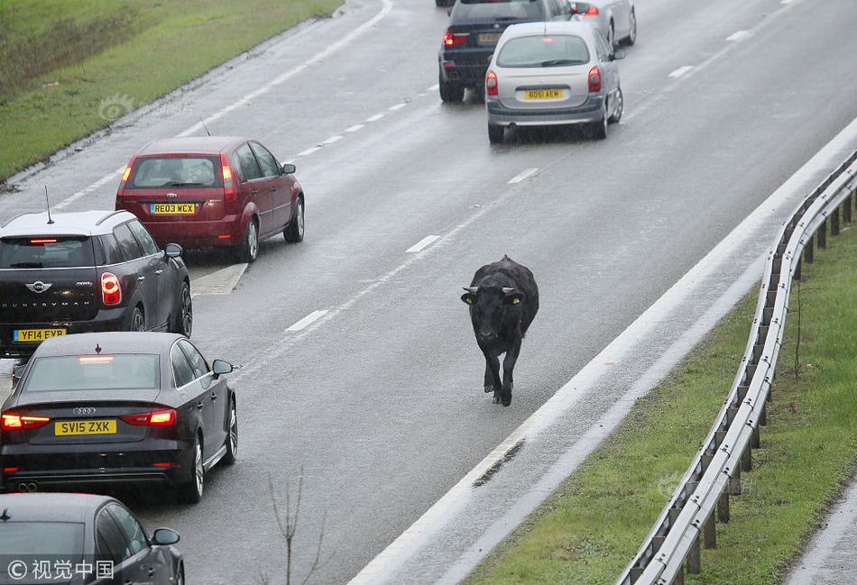 斗士回歸！昂達(dá)發(fā)布一系列S3顯卡