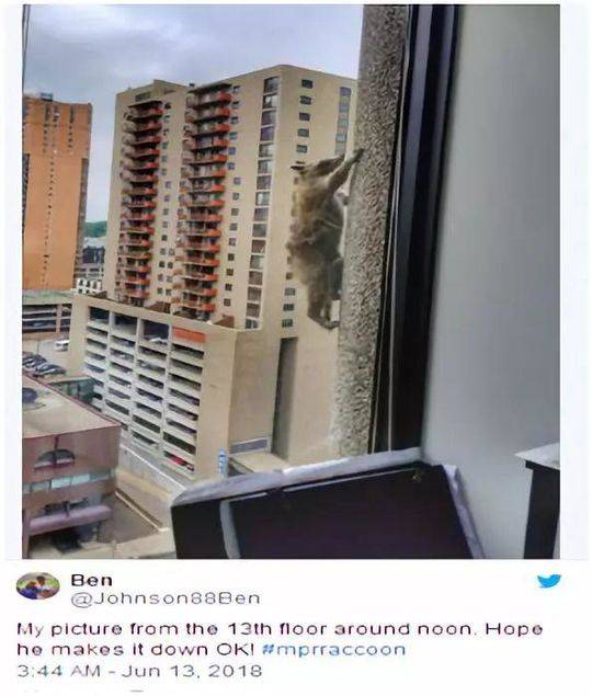 Word文字處理教育實(shí)例：準(zhǔn)確改動(dòng)圖片的方位