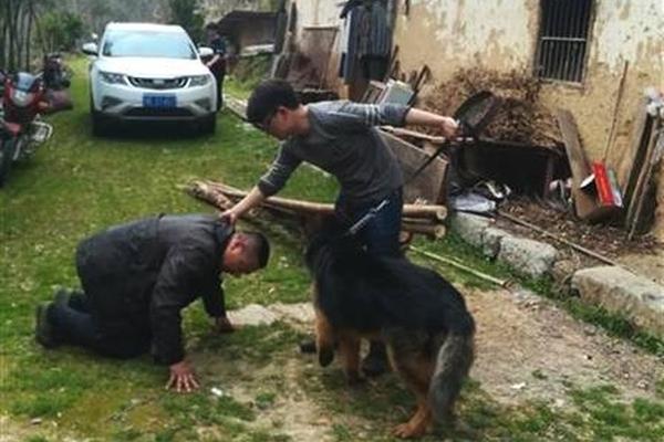 百度hao123導航12年來初次改版：添加資源導航