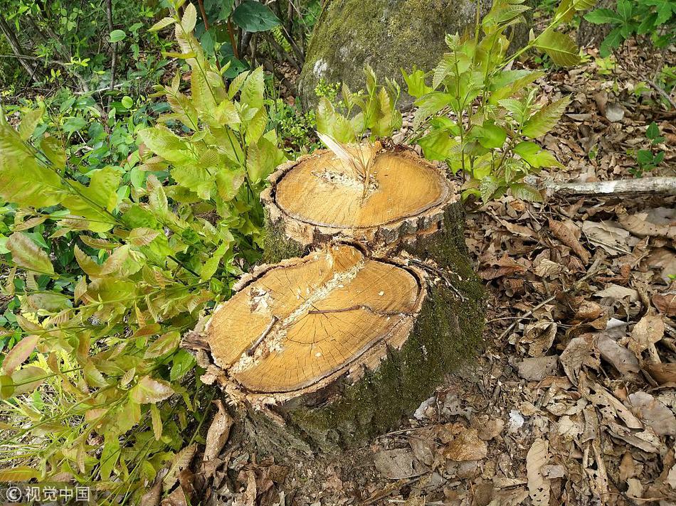 roblox元素戰(zhàn)爭模擬器手機版游戲 v1.0