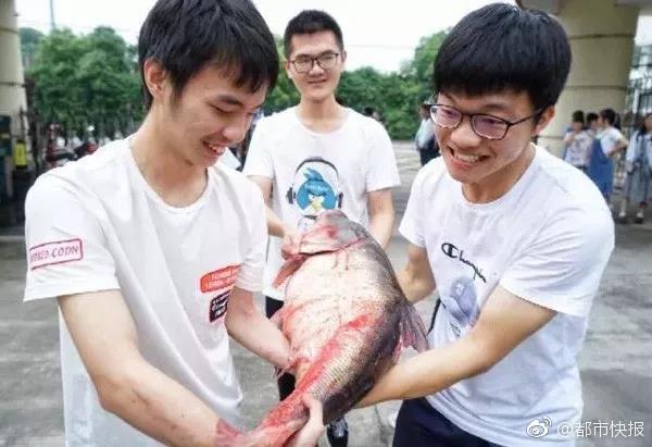 微軟手環(huán)2裝備概況 微軟手環(huán)2怎么樣