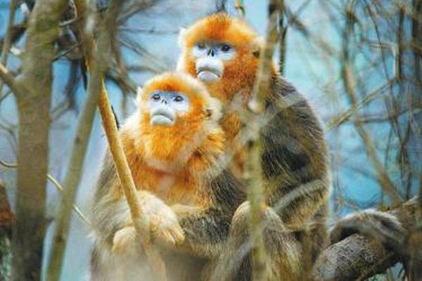 True Launch Bar強(qiáng)化你的體系快速發(fā)動欄