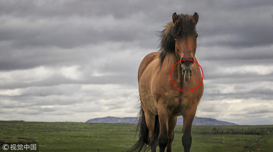 qq數(shù)據(jù)線文件在哪里 qq數(shù)據(jù)線手機(jī)傳電腦教程