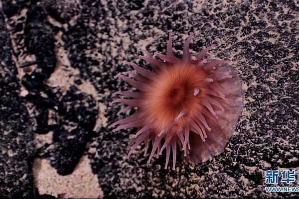 正能量滿滿 玩吧App年輕用戶分享成長(zhǎng)故事