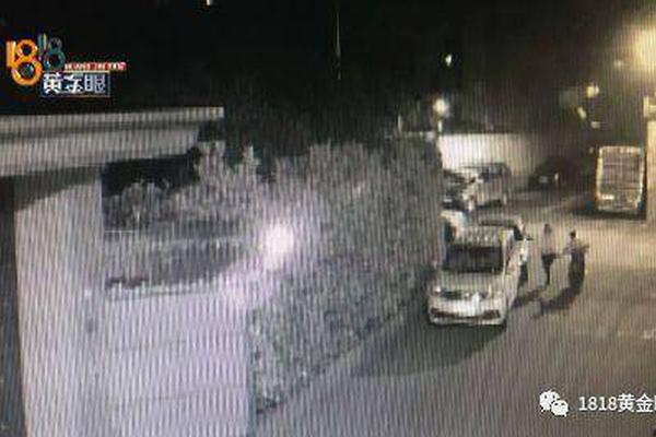 籃網(wǎng)教練納什在賴特被殺害后發(fā)表言論