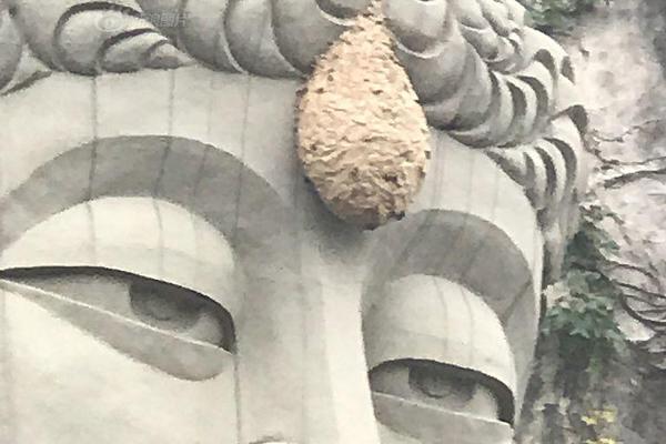 衛(wèi)浴國貨如何乘風(fēng)逆襲？恒潔全新品牌升級探路持質(zhì)引領(lǐng)之道