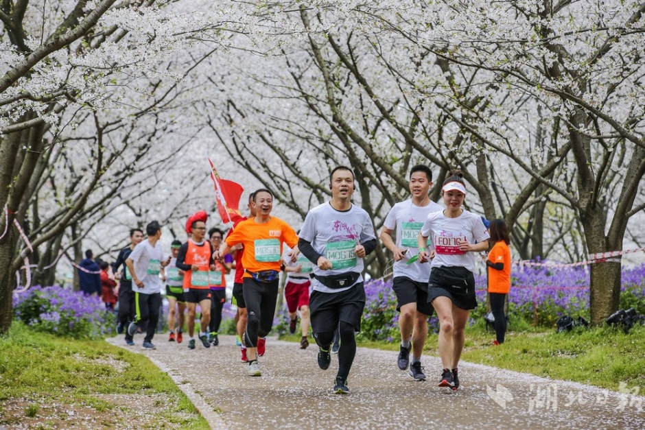 微軟遭受Flash專利訴訟 被判罰521百萬美元