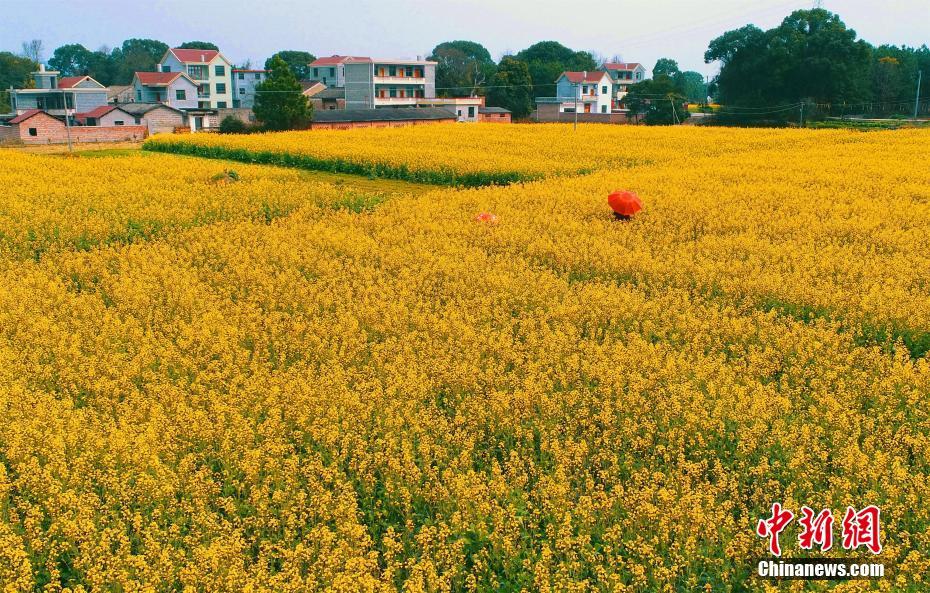 3d畫質(zhì)雙人情侶修仙游戲引薦 修真界一同嗨