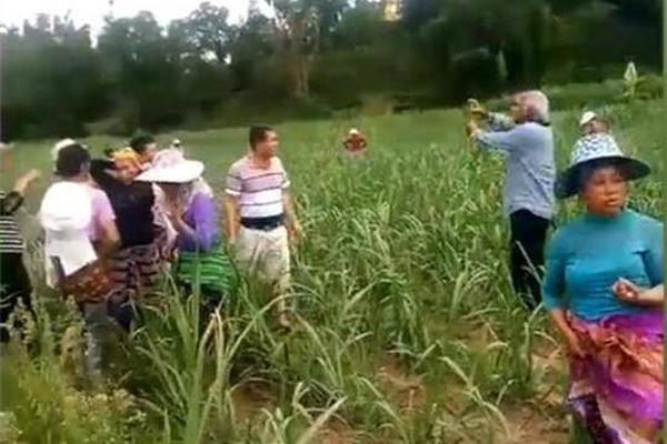 螞蟻莊園9月9日今天答案 小雞寶寶考考你鴛鴦中的哪個(gè)字代表雄鳥