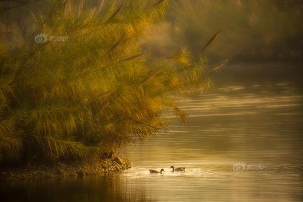 巾幗不讓須眉 《不良人2》手游女俠客盤點