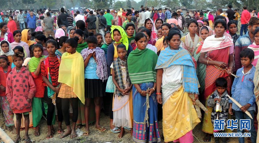 寵物對戰(zhàn)RPG《決斗革命》年初上架雙平臺