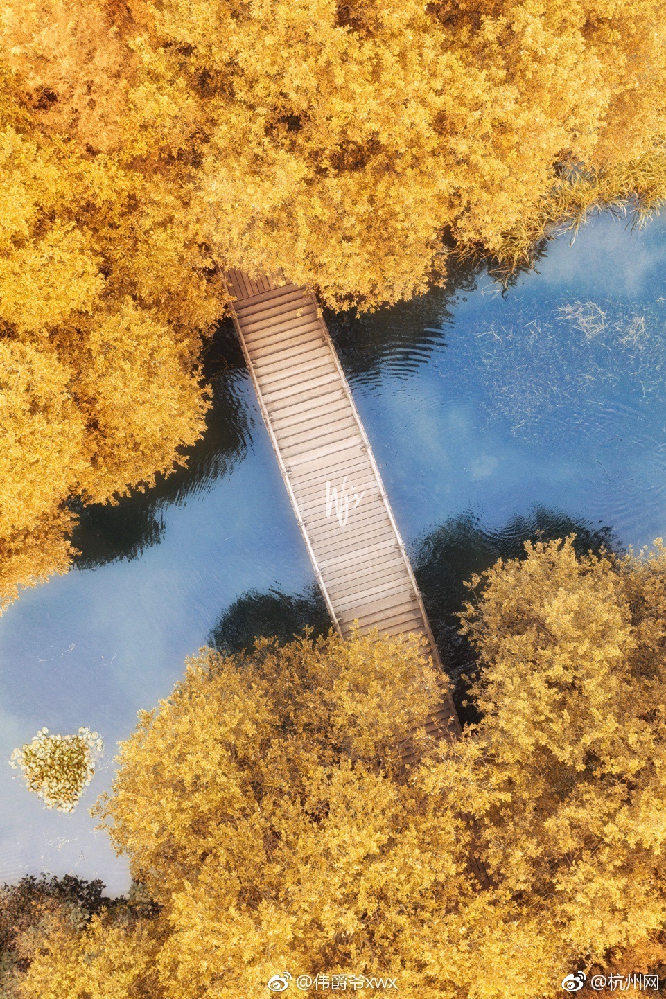 打破紀錄！庫里單月命中85記三分球