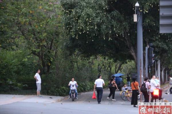 3?????μ???????? 3??????????????