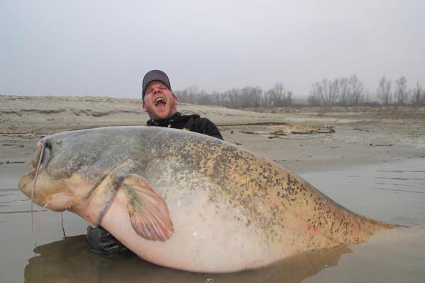 科爾：德羅贊是名人堂候選人，一直以來他都很穩(wěn)定