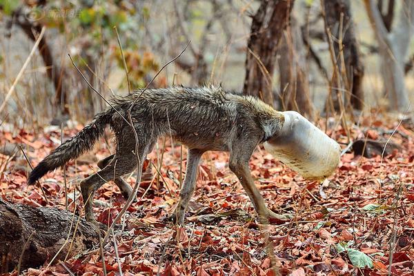 震旦推出文印升級(jí)方案