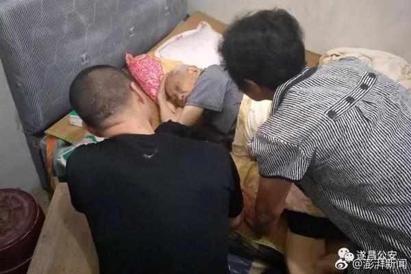 道友請(qǐng)留步《西游萌萌》英雄緣分的重要性