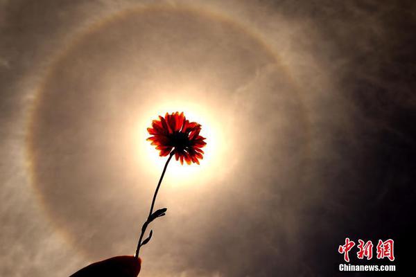 創(chuàng)意唯美游戲《Gathering Sky》周四上架