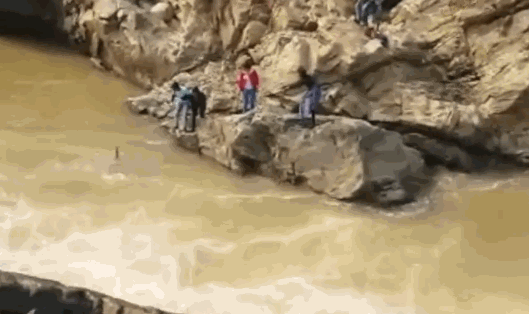 螞蟻莊園下列哪句詩是描寫梅花的 螞蟻莊園今日答案梅花