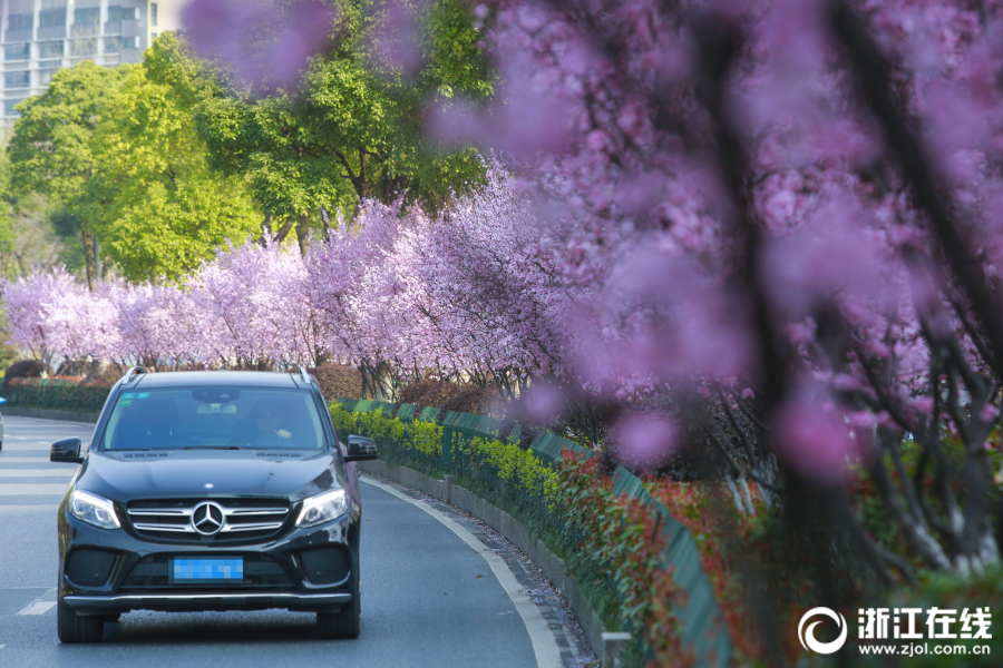 第五人格香水師改名調(diào)香師上線共研服：調(diào)香師技能全面解析