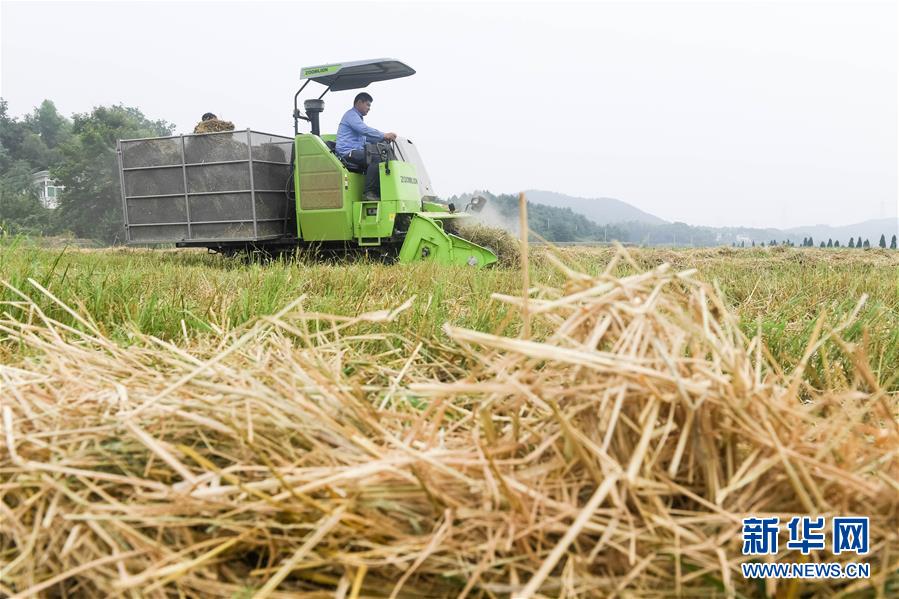 利拉德更新INS曬自己回歸健身房的動態(tài)