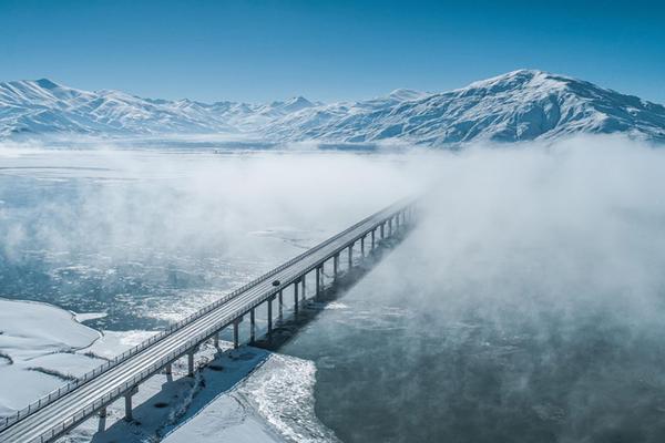 蘋果皮是什么[多圖]