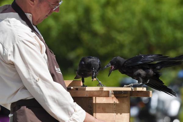 據(jù)音訊稱微軟將于幾周內(nèi)發(fā)布Windows XP SP2