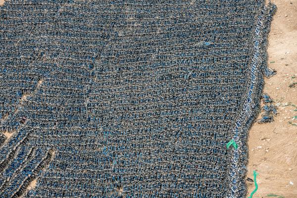 《被束縛的靈魂》綠化誠意之作 天藍(lán)有你同行[圖]