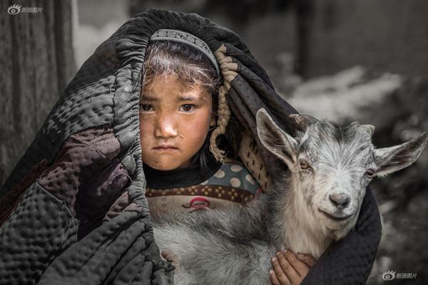 積極踐行企業(yè)社會(huì)責(zé)任，中國(guó)平安連續(xù)21年榮獲中國(guó)最受尊敬企業(yè)