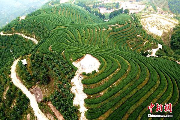 騰訊再出“重手” 2004版QQ大熱全國