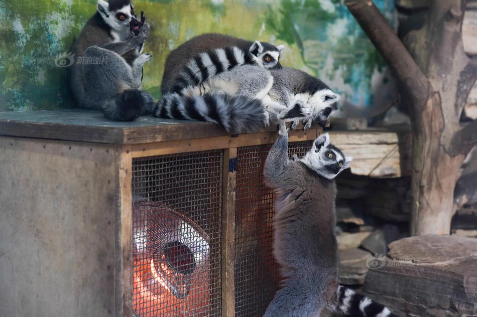 win10更新失利過錯(cuò)提示0x8024402f解決辦法