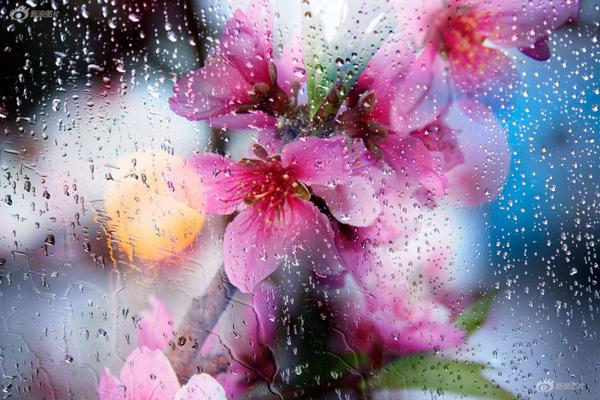 91幫手驅(qū)動(dòng)裝置失利怎么辦