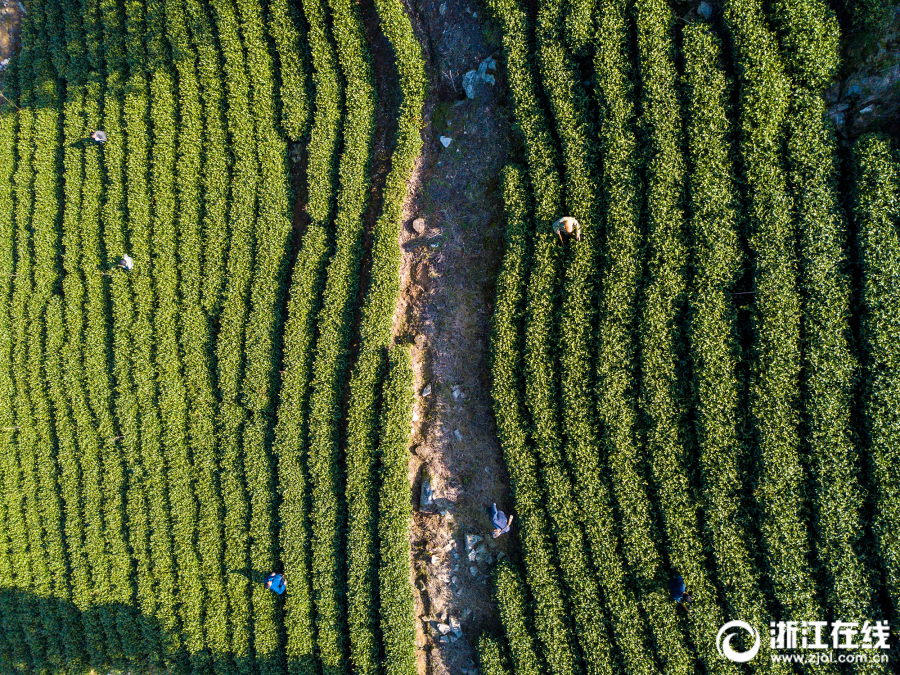 硬盤分區(qū)圖解步步通(5)