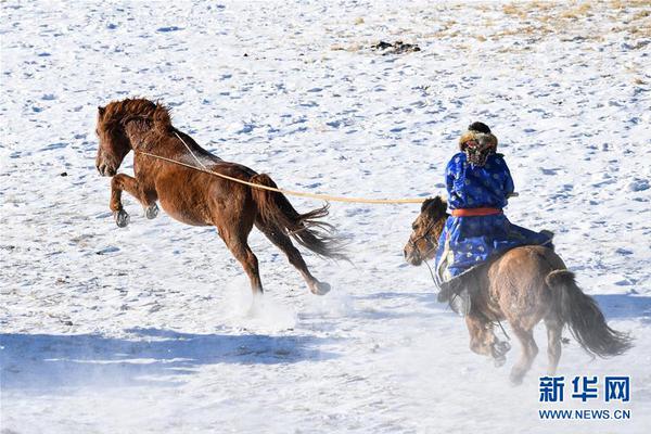 獨(dú)行俠自2010年來(lái)首次常規(guī)賽橫掃熱火 近20次交手4勝16負(fù)