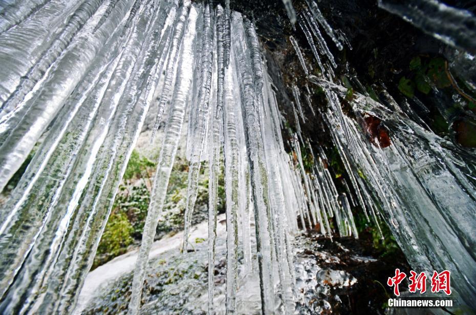 2020中國移動(dòng)福卡怎樣掃 支付寶2020中國移動(dòng)定制福字圖片